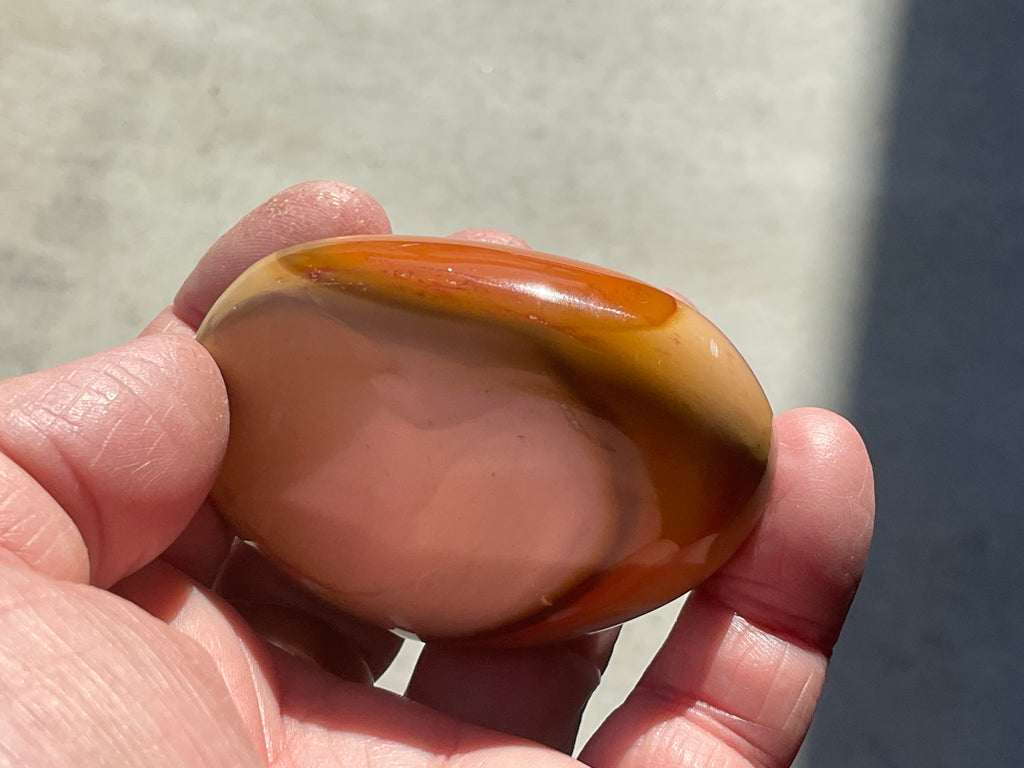 137g Polychrome Jasper Palmstone 4