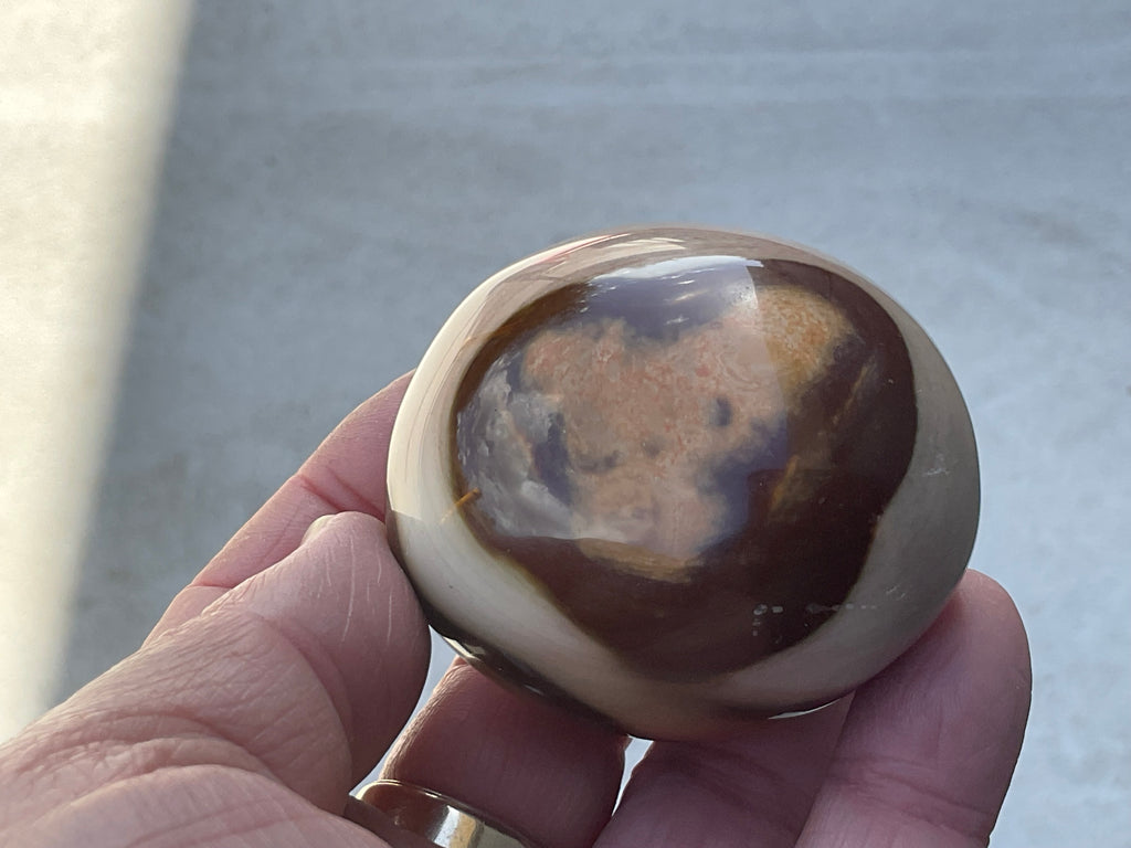 163g Polychrome Jasper Palmstone 9