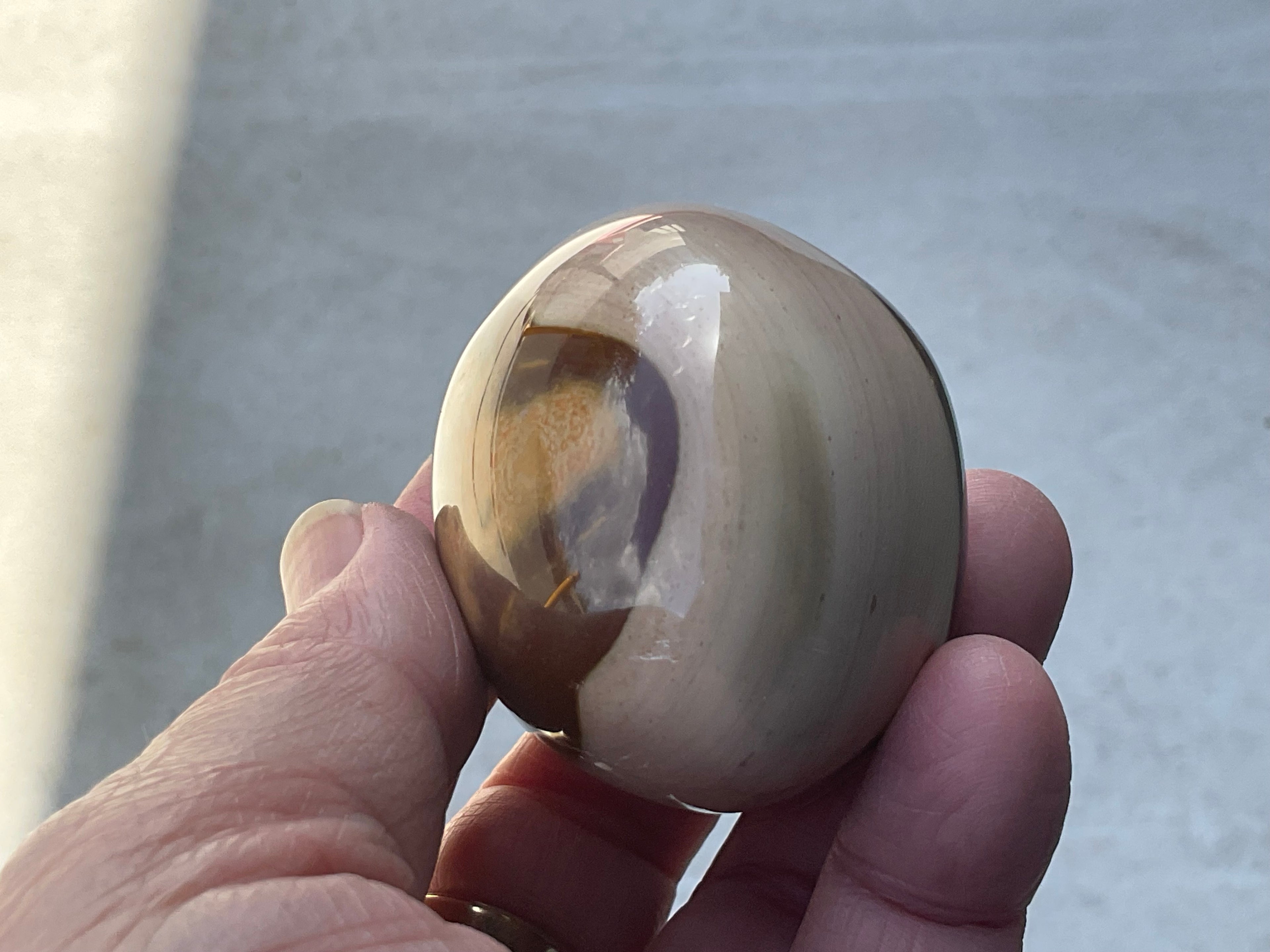 163g Polychrome Jasper Palmstone 9