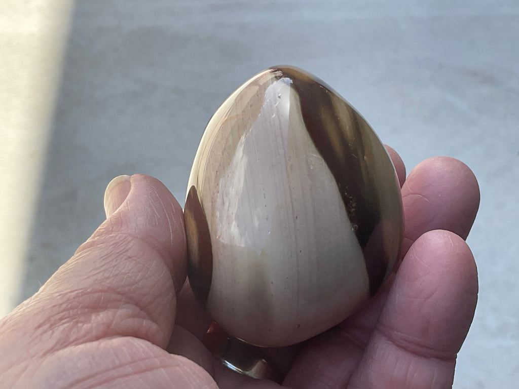 163g Polychrome Jasper Palmstone 9
