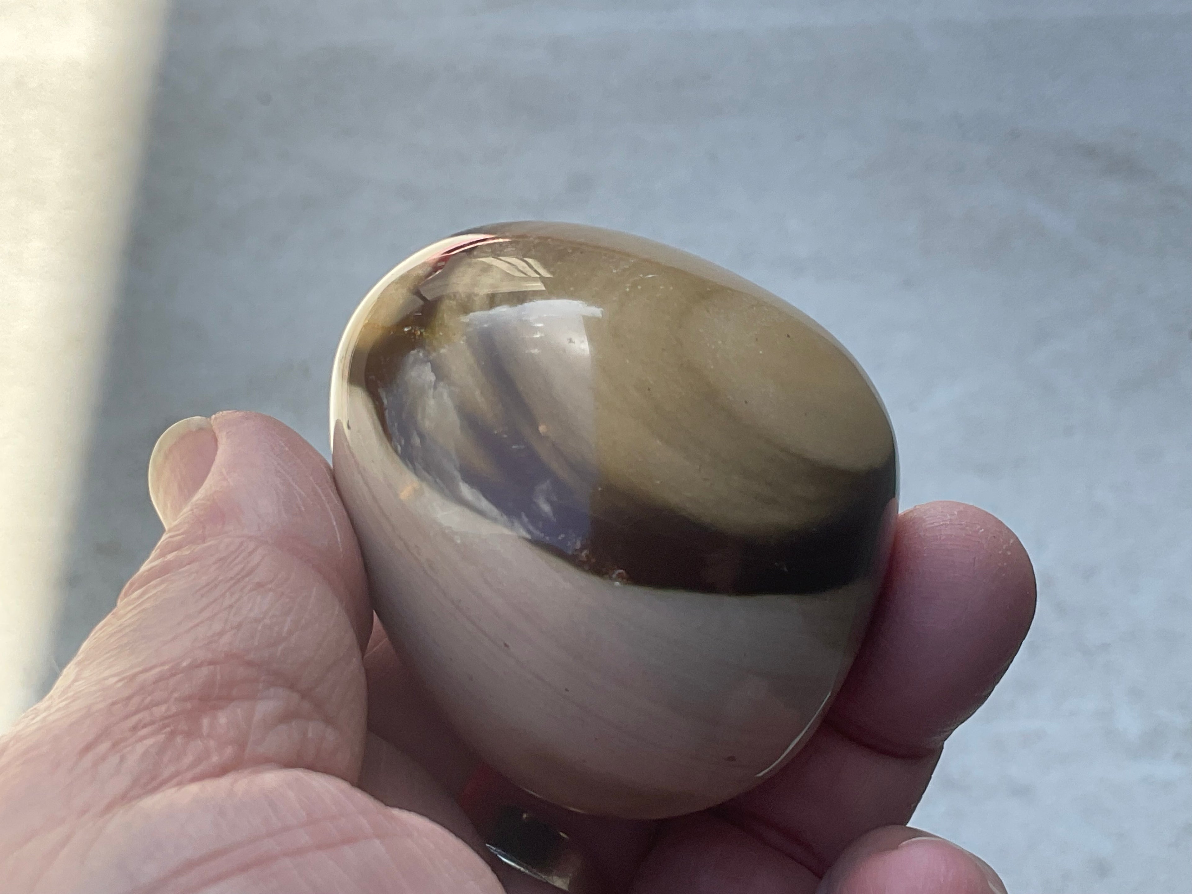 163g Polychrome Jasper Palmstone 9