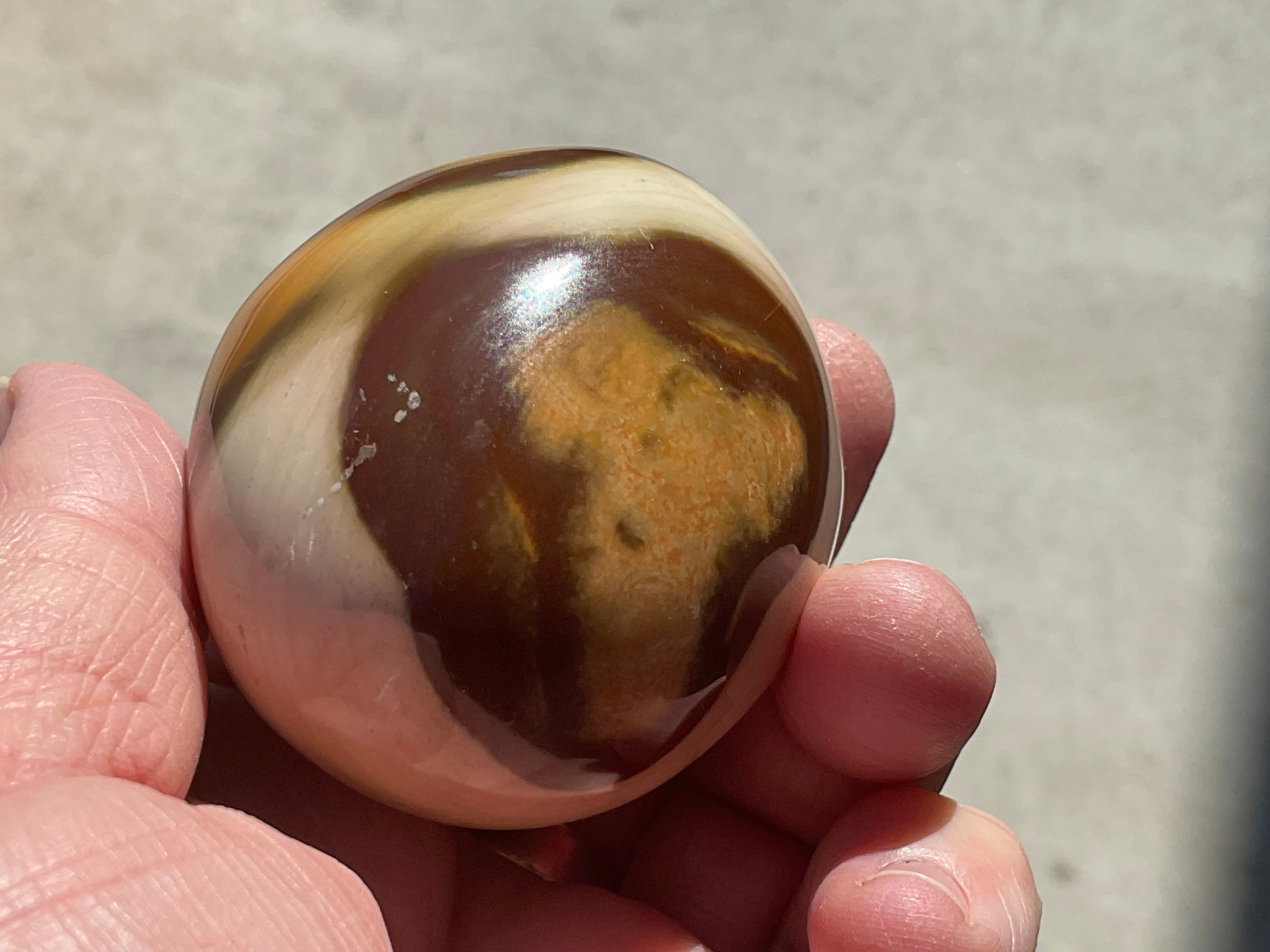 163g Polychrome Jasper Palmstone 9