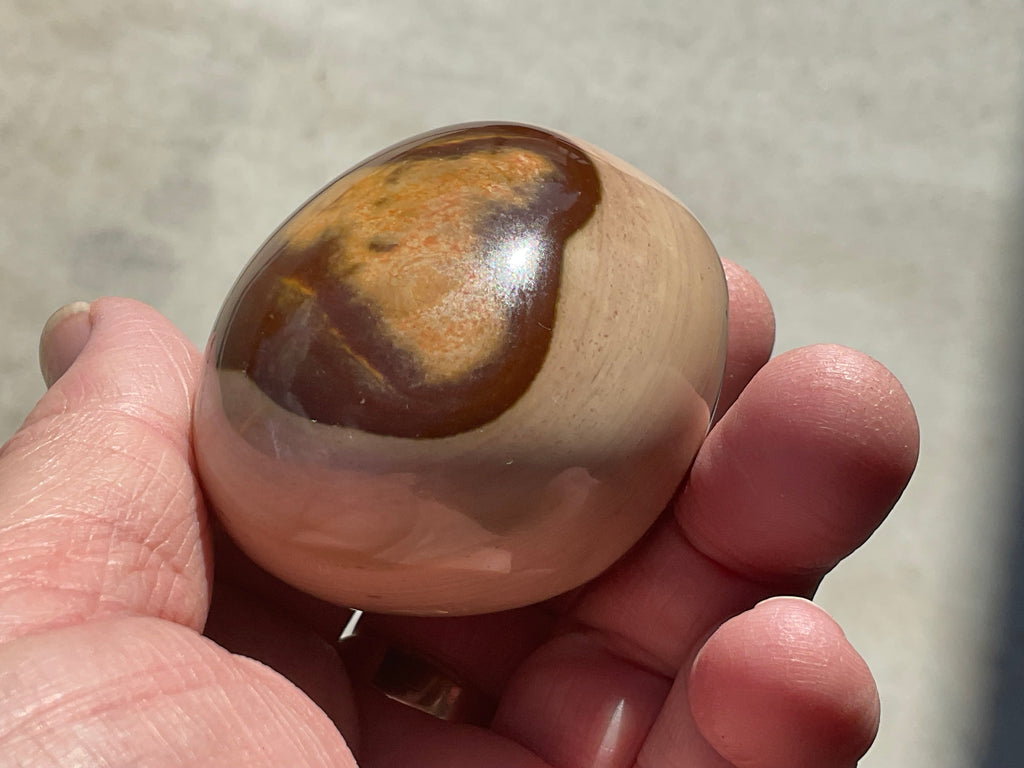 163g Polychrome Jasper Palmstone 9