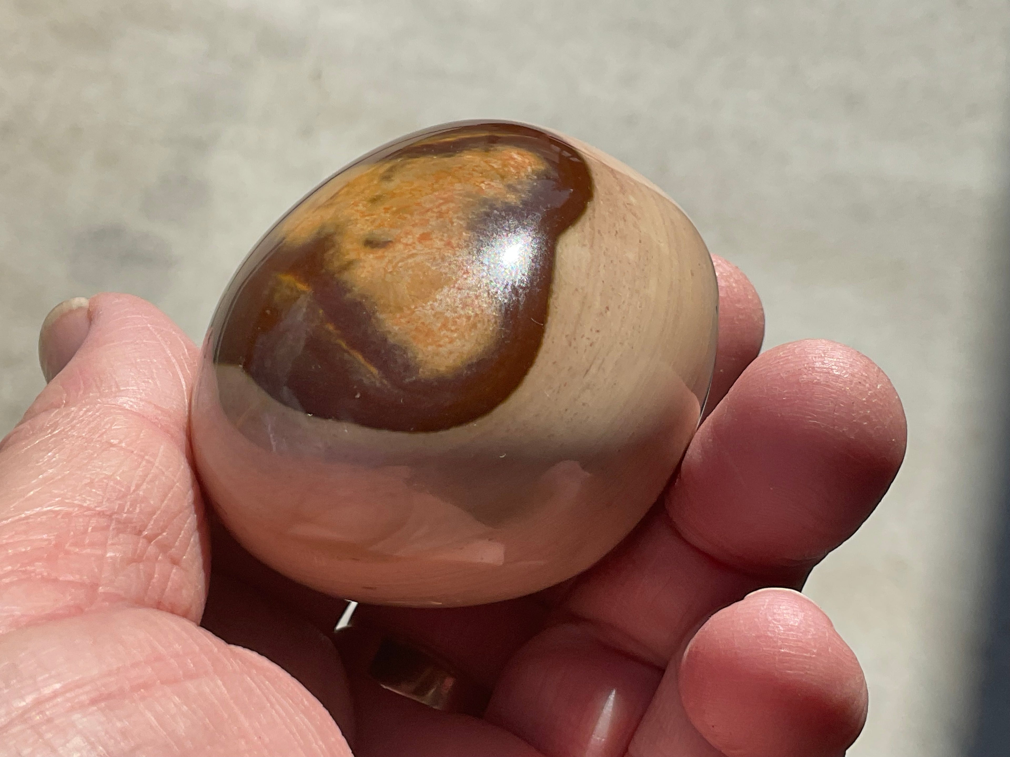 163g Polychrome Jasper Palmstone 9