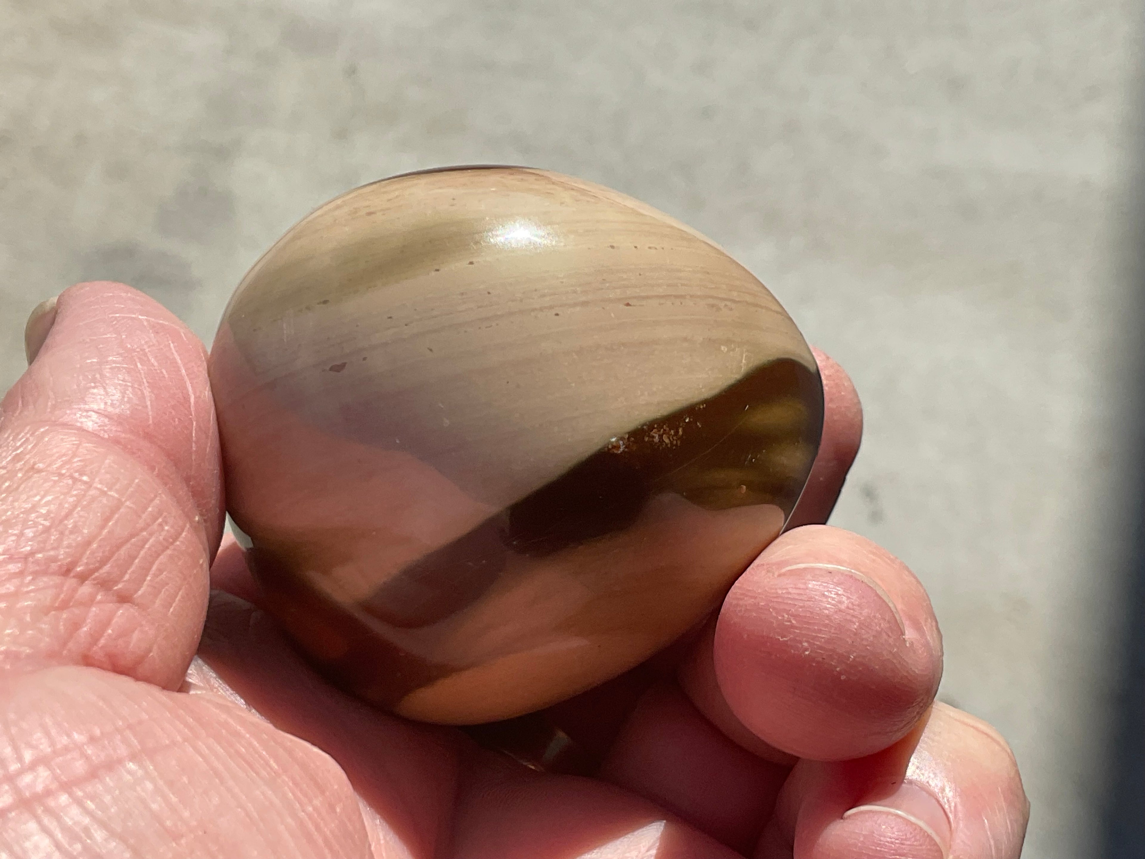 163g Polychrome Jasper Palmstone 9