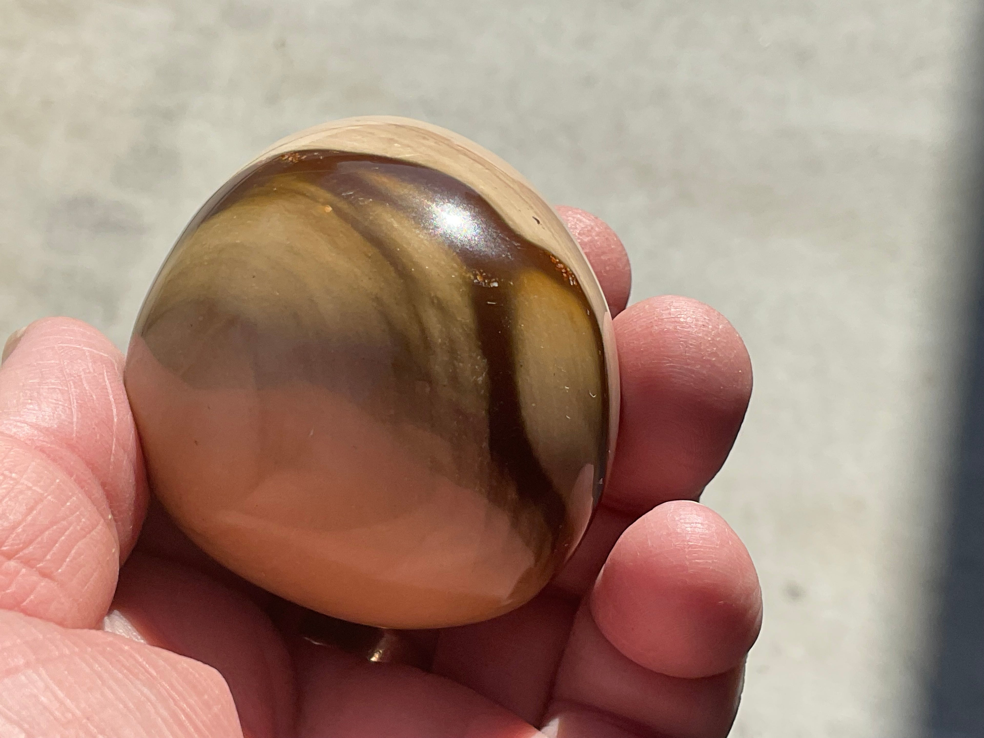 163g Polychrome Jasper Palmstone 9