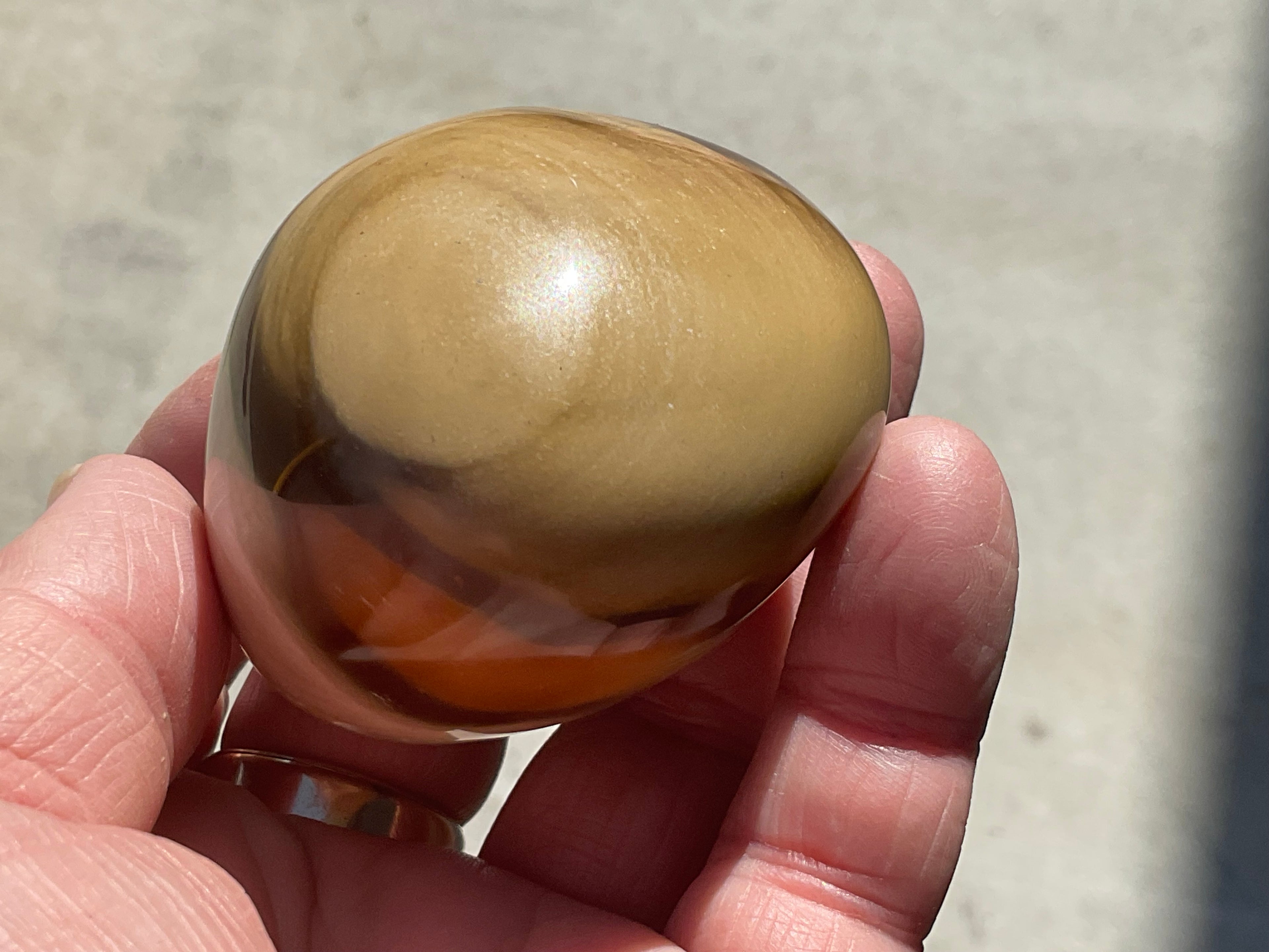 163g Polychrome Jasper Palmstone 9