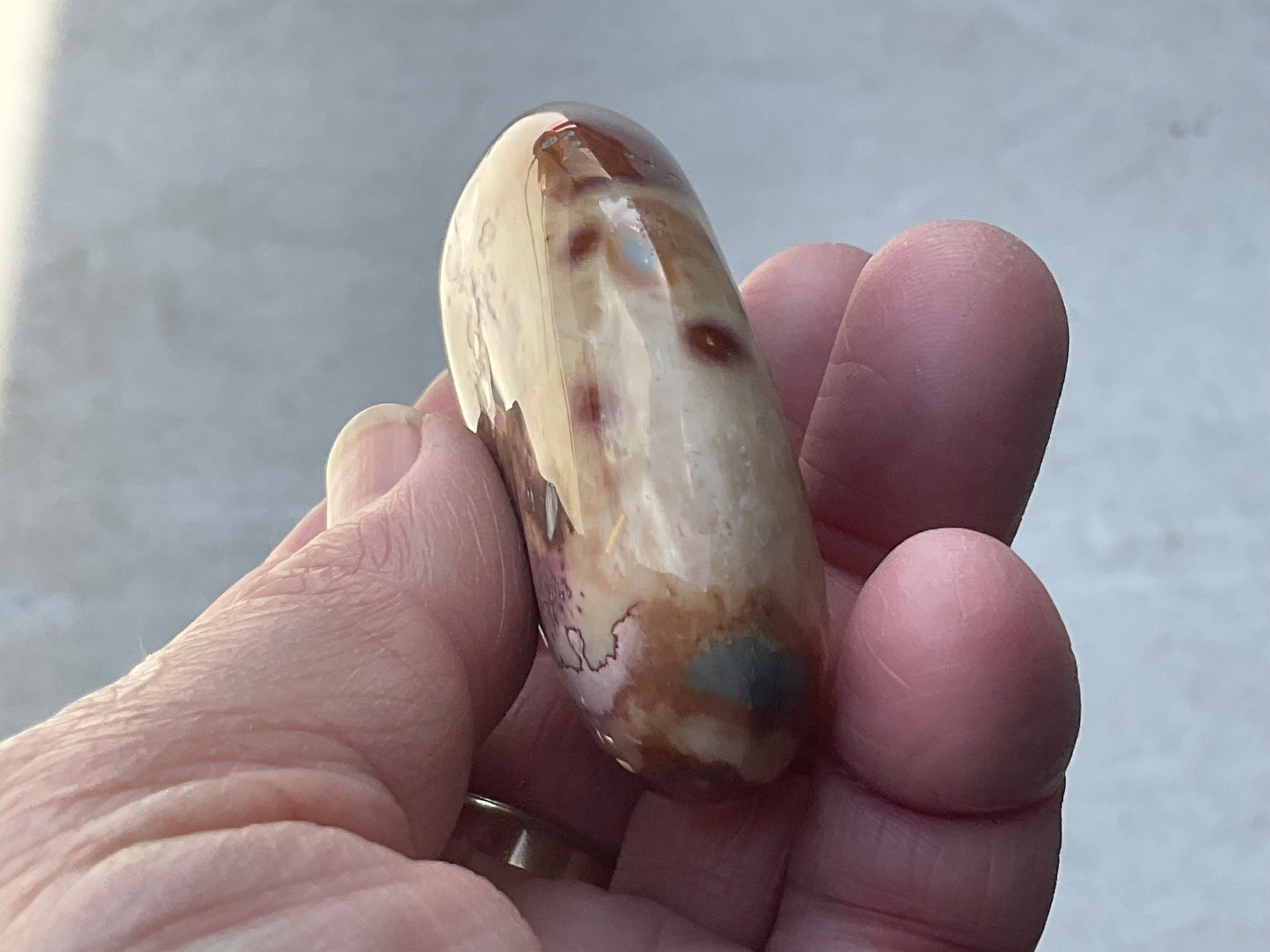 100g Polychrome Jasper 12E