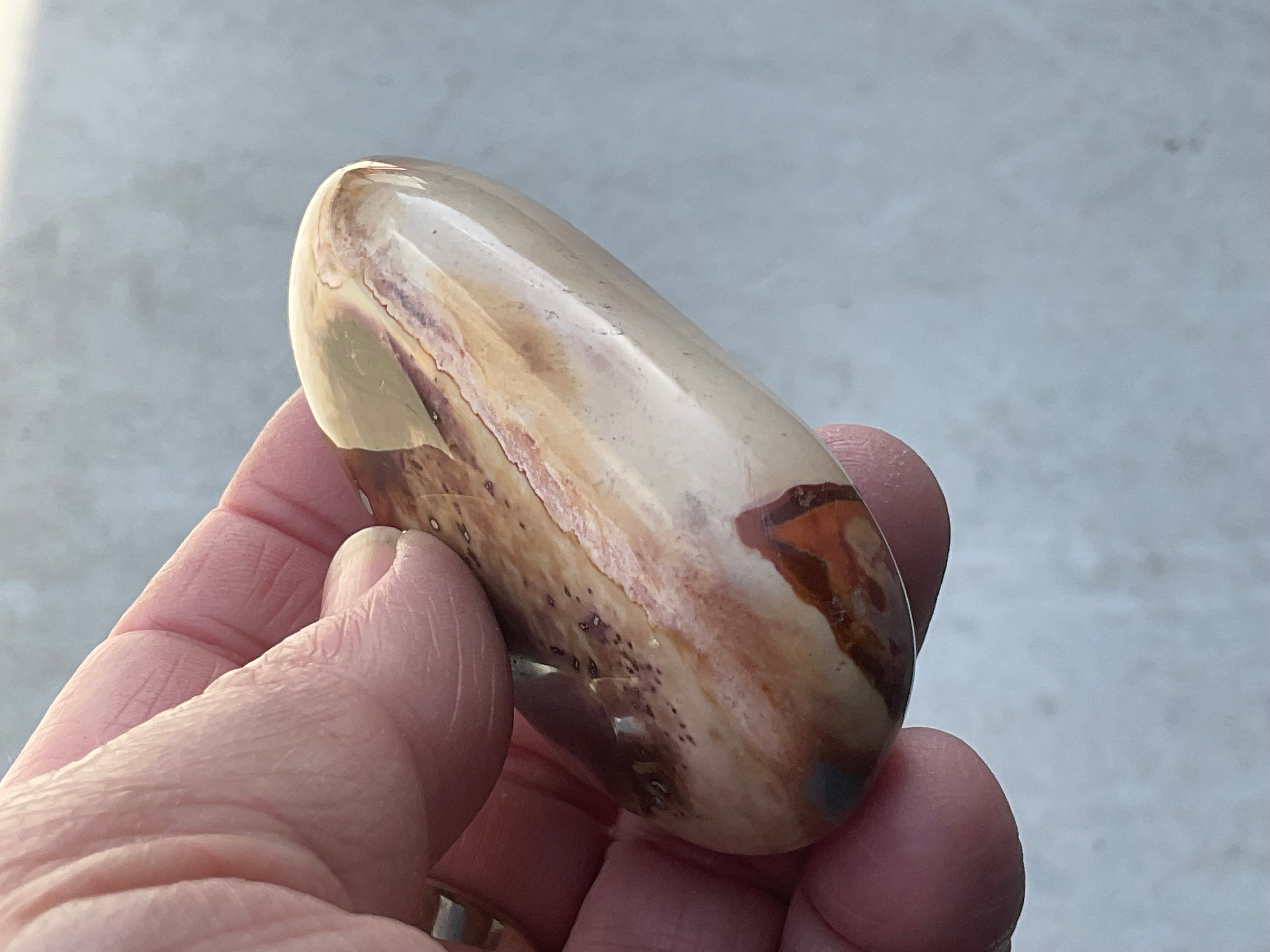 100g Polychrome Jasper 12E