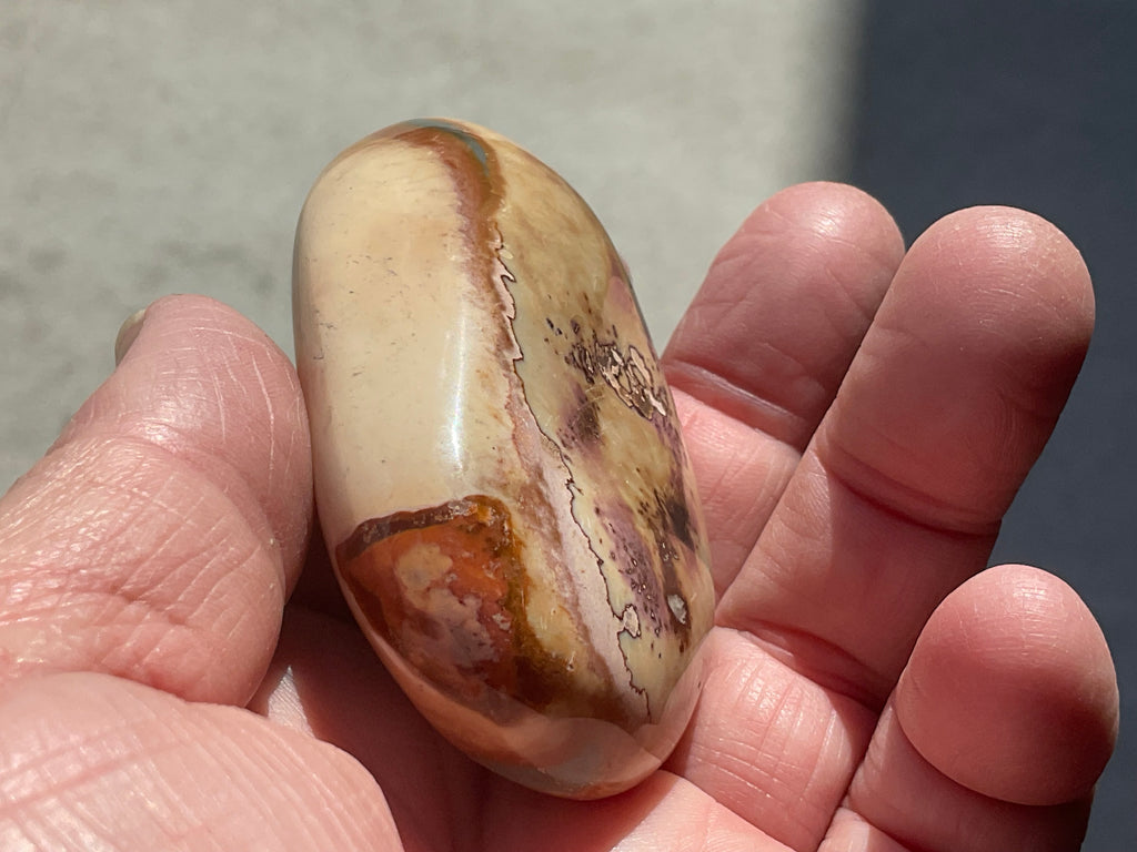 100g Polychrome Jasper 12E