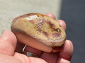 100g Polychrome Jasper 12E