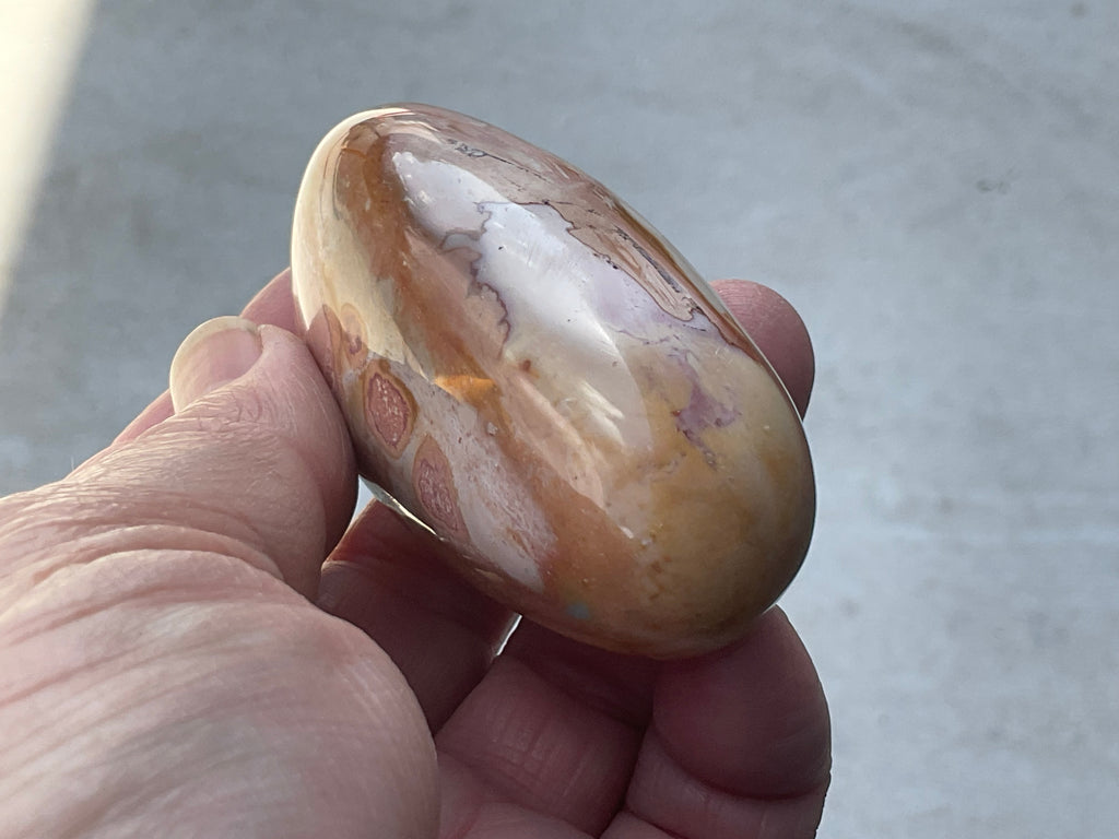 136g Polychrome Jasper Palmstone 12F