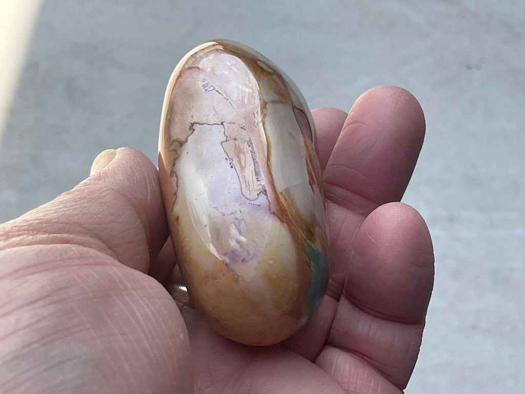 136g Polychrome Jasper Palmstone 12F