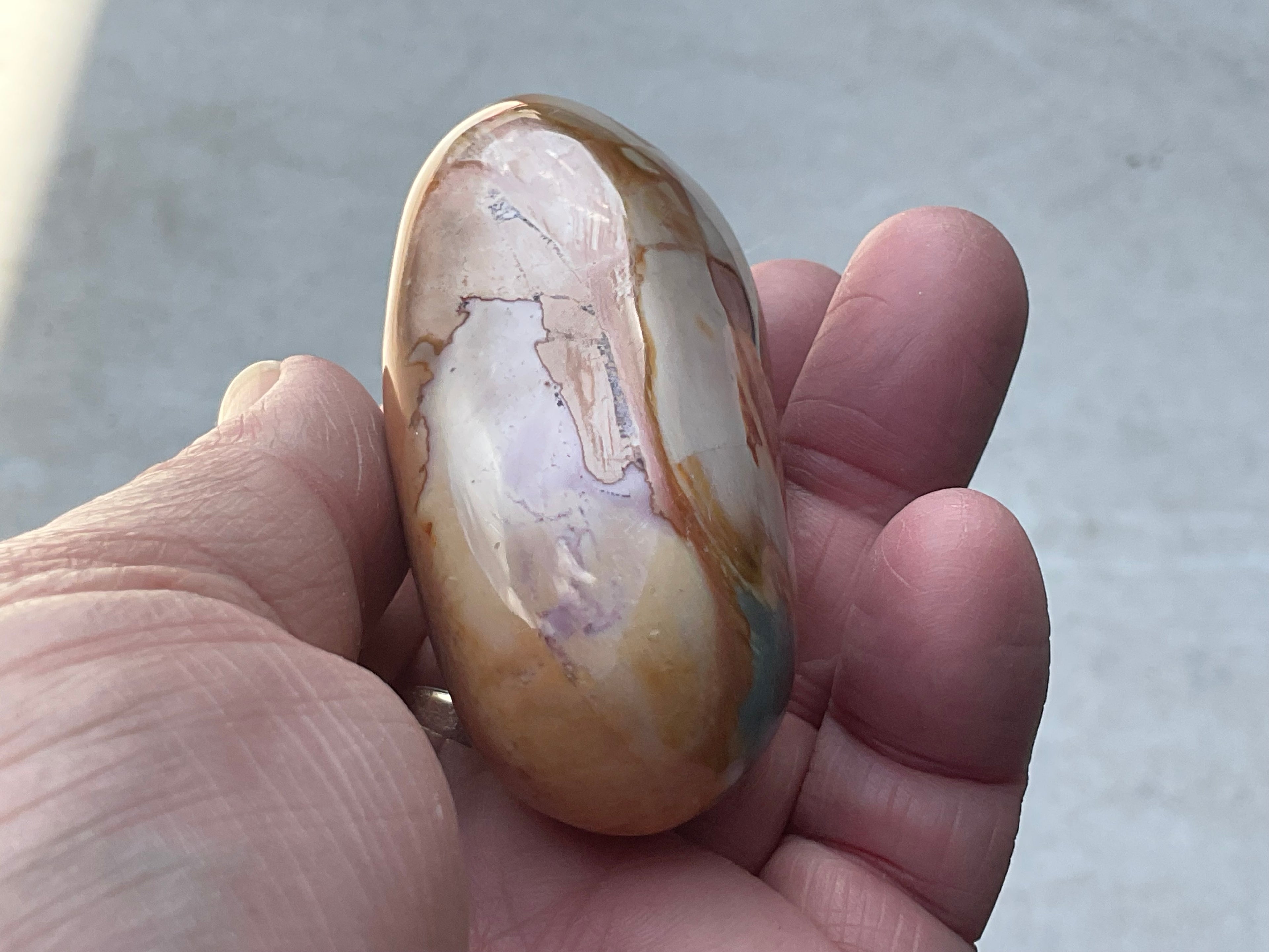 136g Polychrome Jasper Palmstone 12F