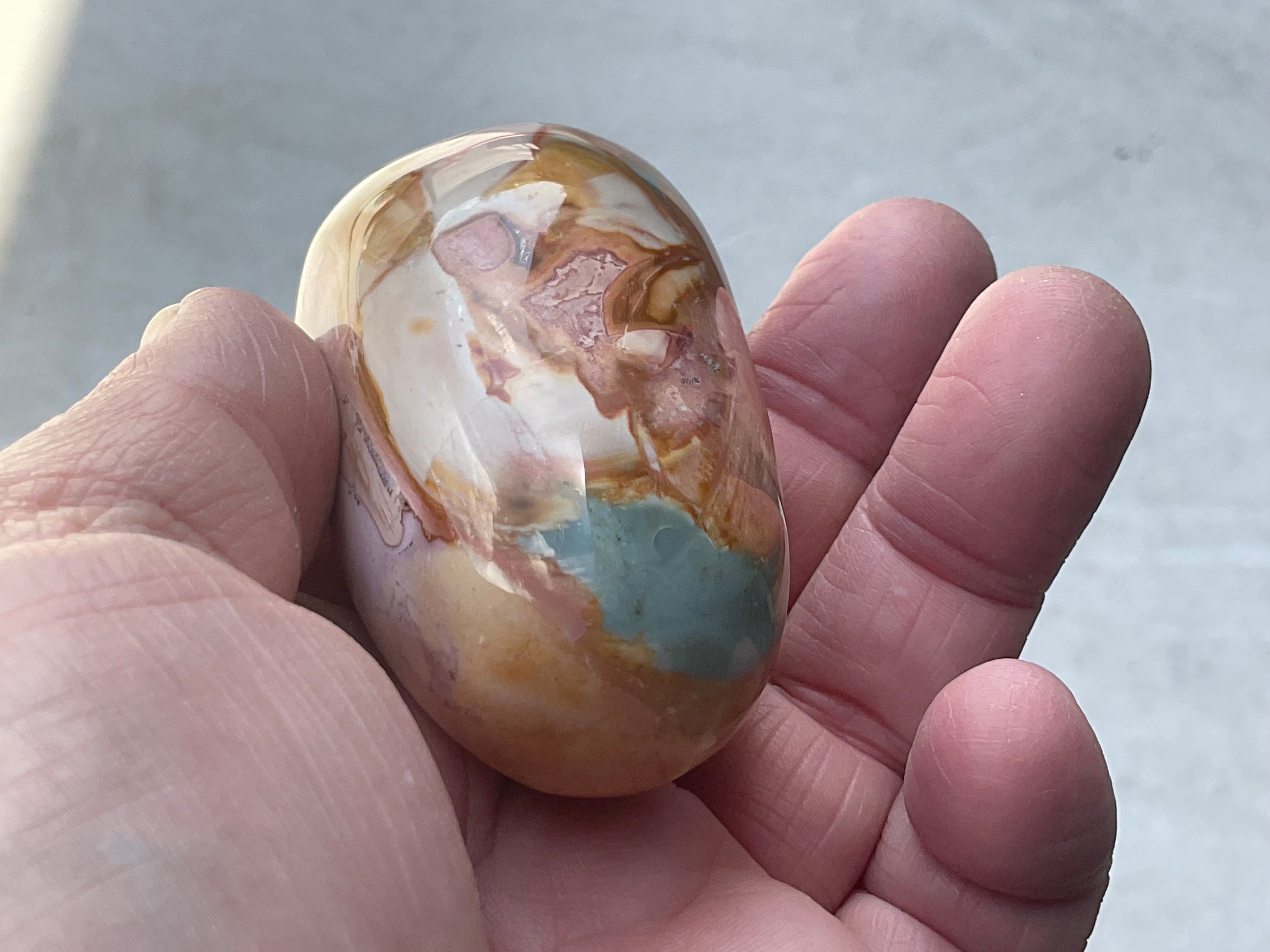 136g Polychrome Jasper Palmstone 12F