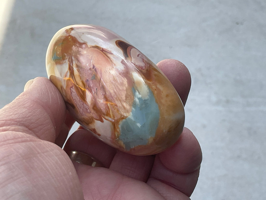 136g Polychrome Jasper Palmstone 12F