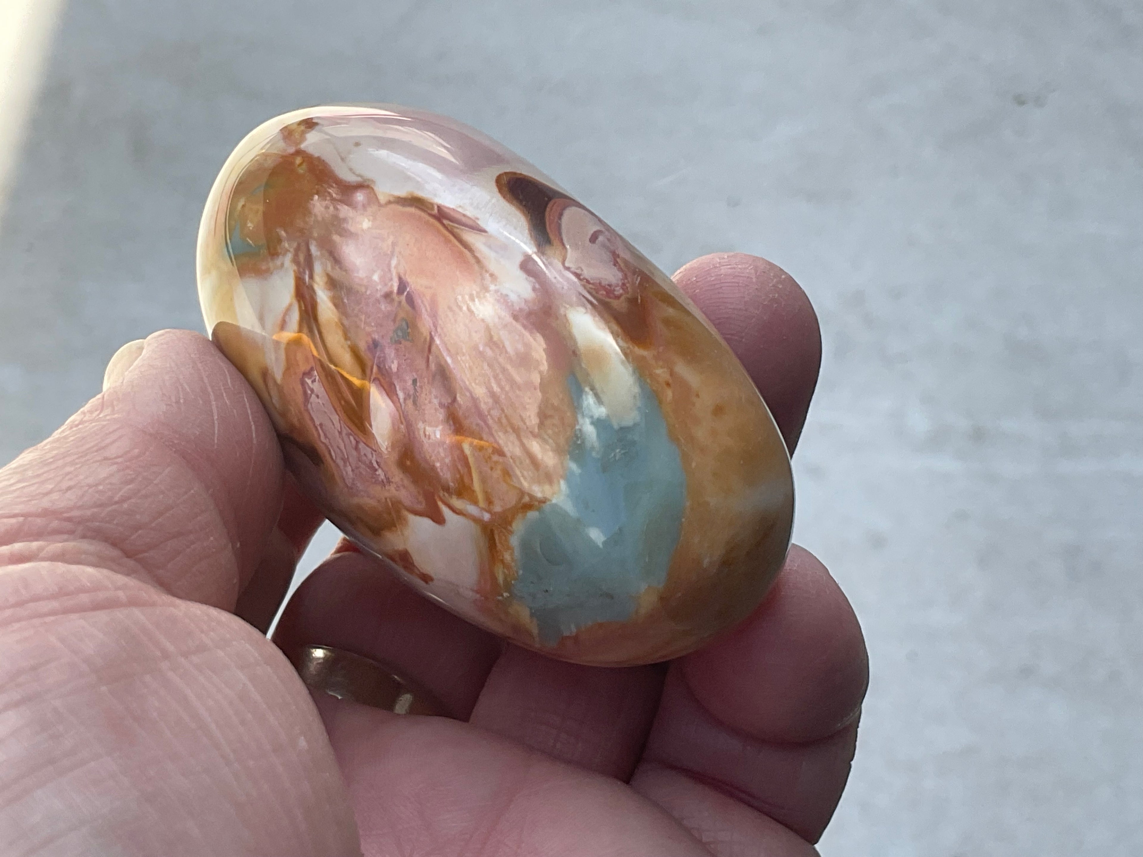 136g Polychrome Jasper Palmstone 12F