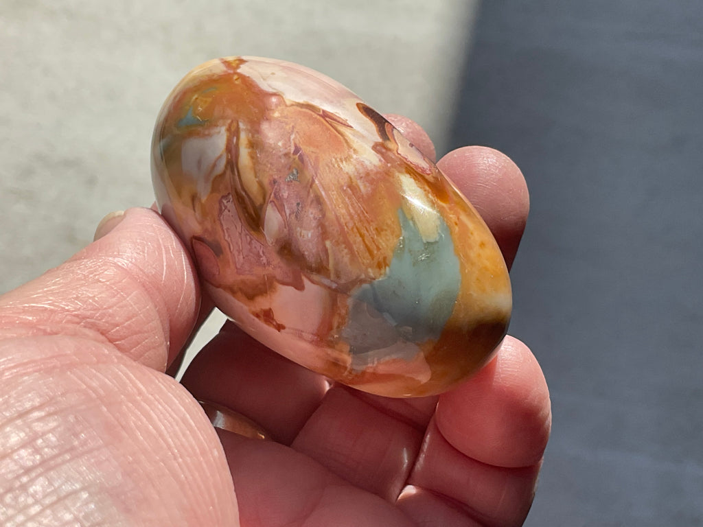 136g Polychrome Jasper Palmstone 12F