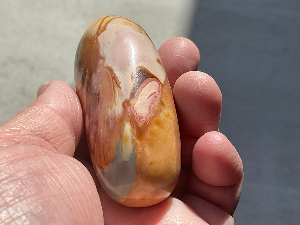 136g Polychrome Jasper Palmstone 12F