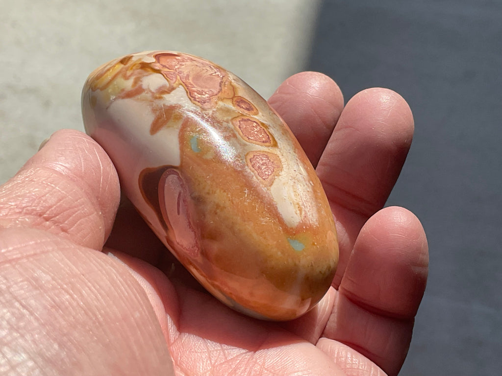 136g Polychrome Jasper Palmstone 12F