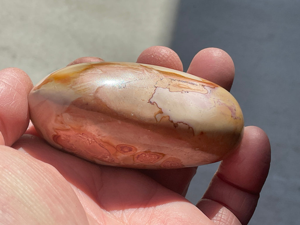 136g Polychrome Jasper Palmstone 12F