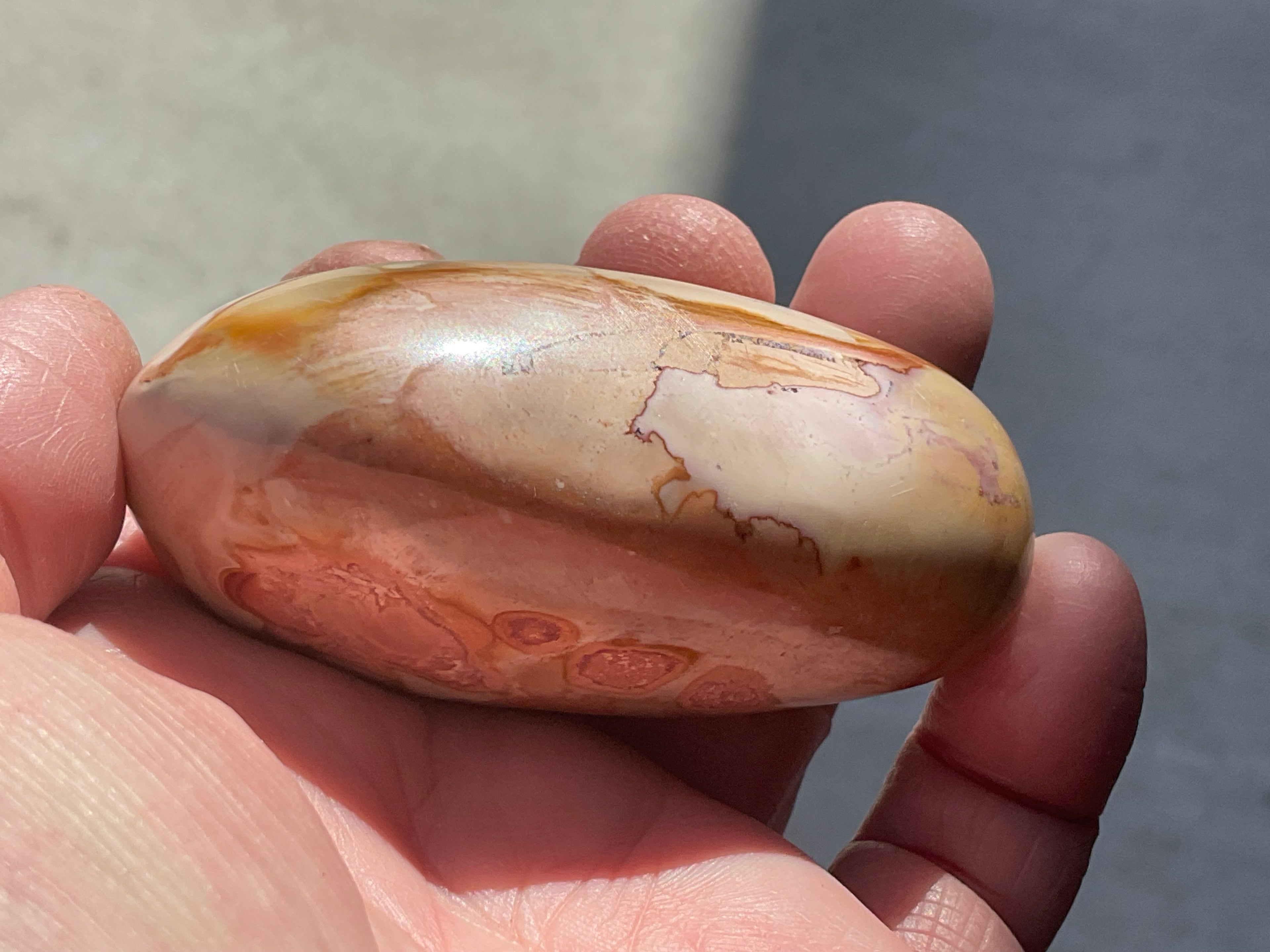 136g Polychrome Jasper Palmstone 12F