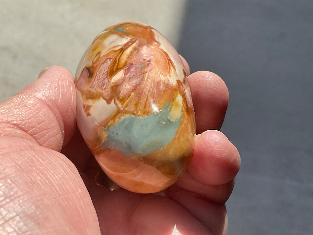 136g Polychrome Jasper Palmstone 12F