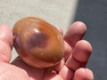 157g Polychrome Jasper Palmstone 17B