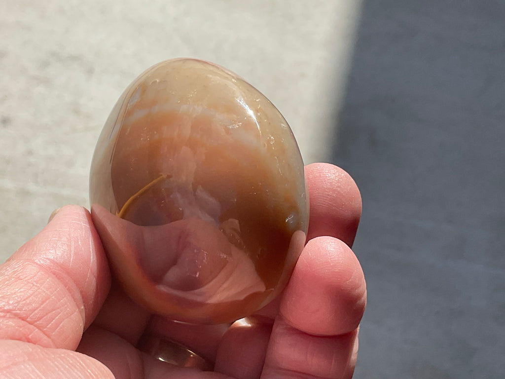 157g Polychrome Jasper Palmstone 17B