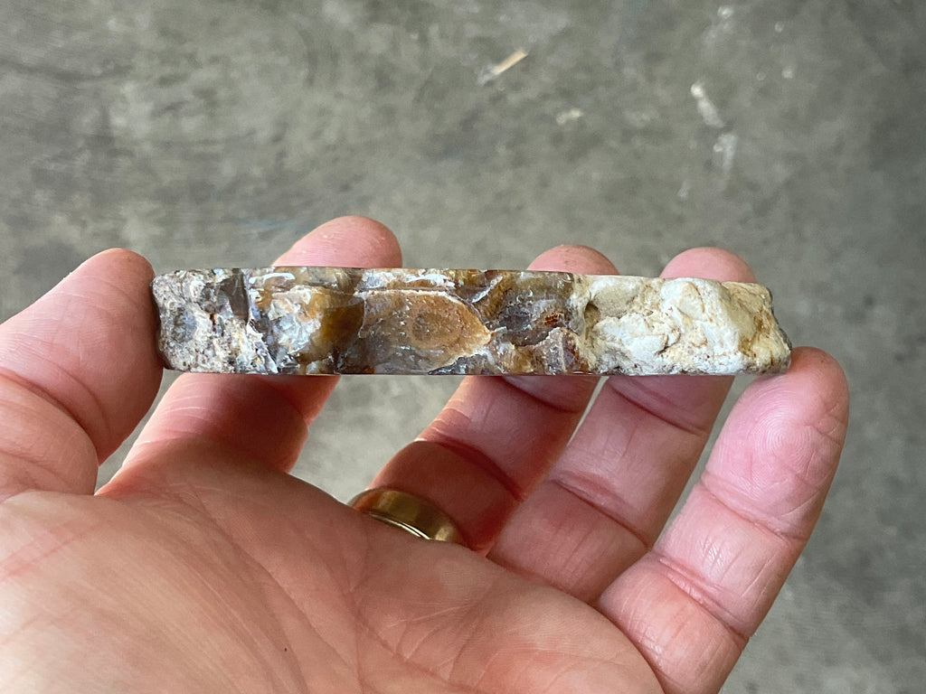 144g Fossilised/Agatised Coral Slab 3A