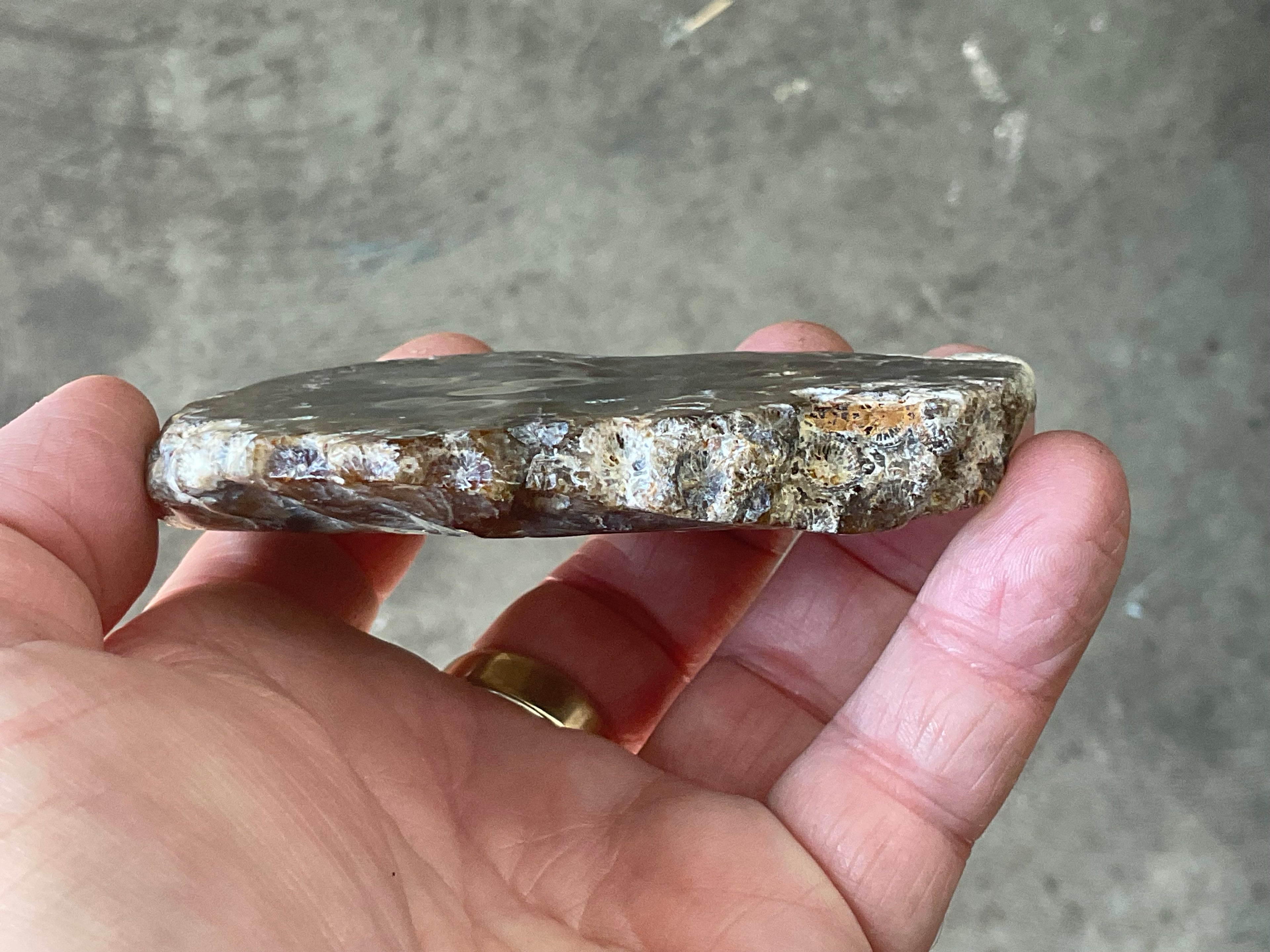 144g Fossilised/Agatised Coral Slab 3A