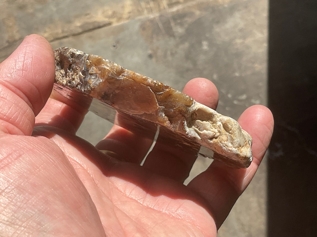 144g Fossilised/Agatised Coral Slab 3A