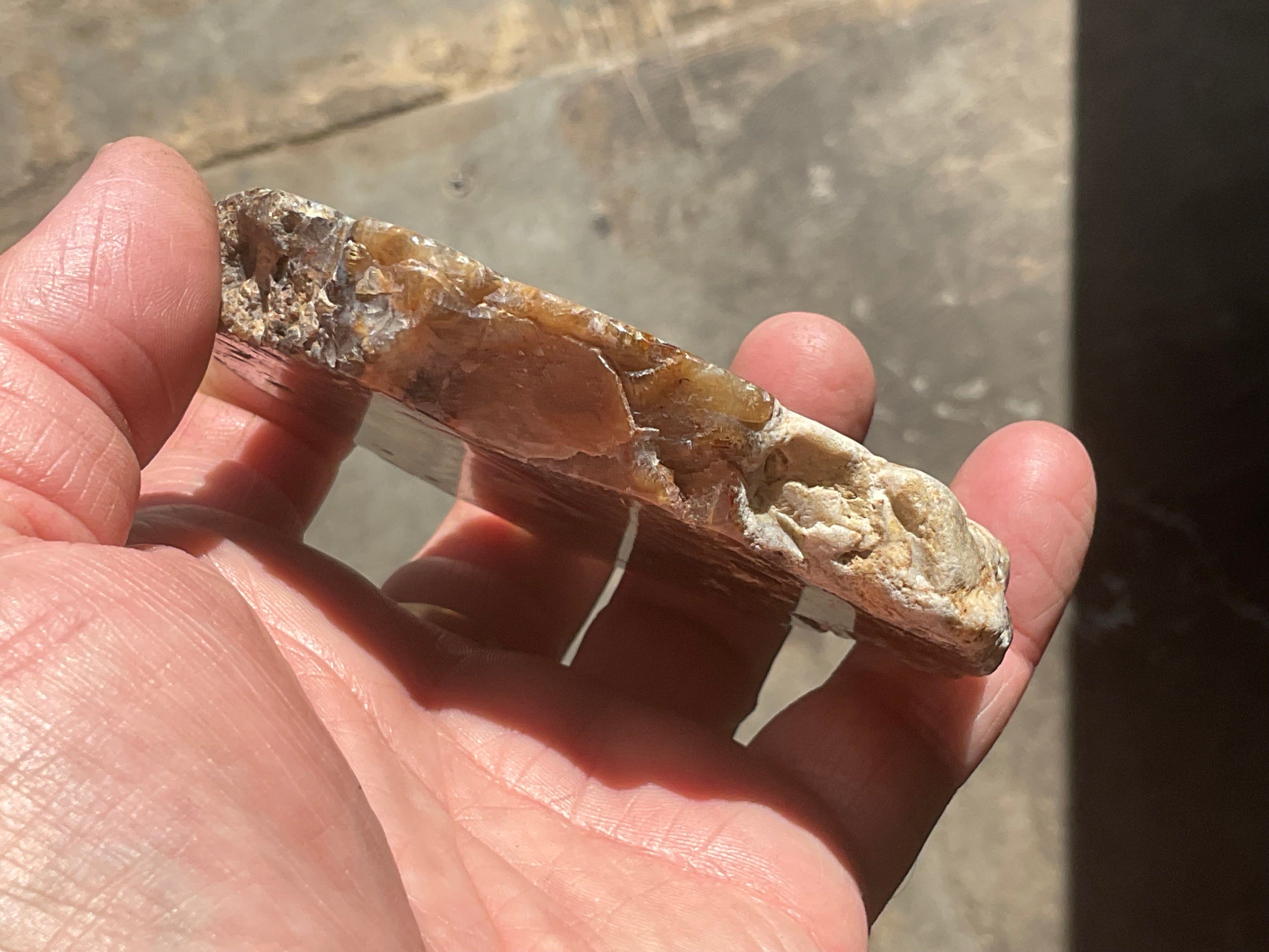 144g Fossilised/Agatised Coral Slab 3A