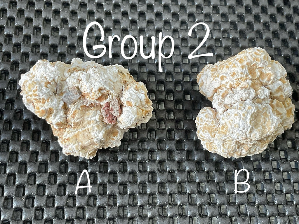 48g “Popcorn Selenite” Specimen 2A