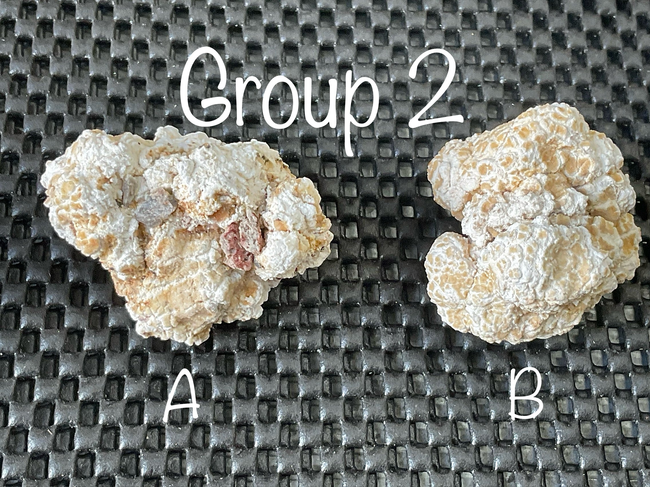 48g “Popcorn Selenite” Specimen 2A