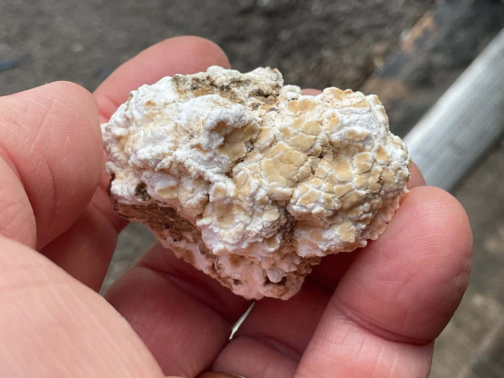 48g “Popcorn Selenite” Specimen 2A