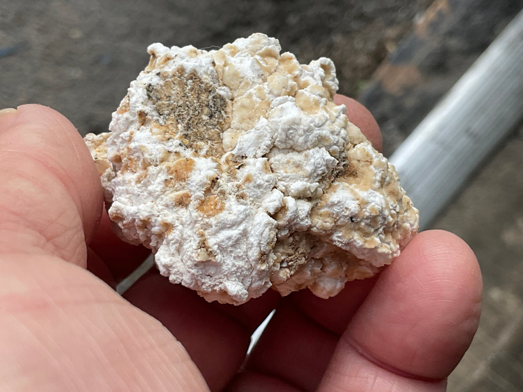 48g “Popcorn Selenite” Specimen 2A