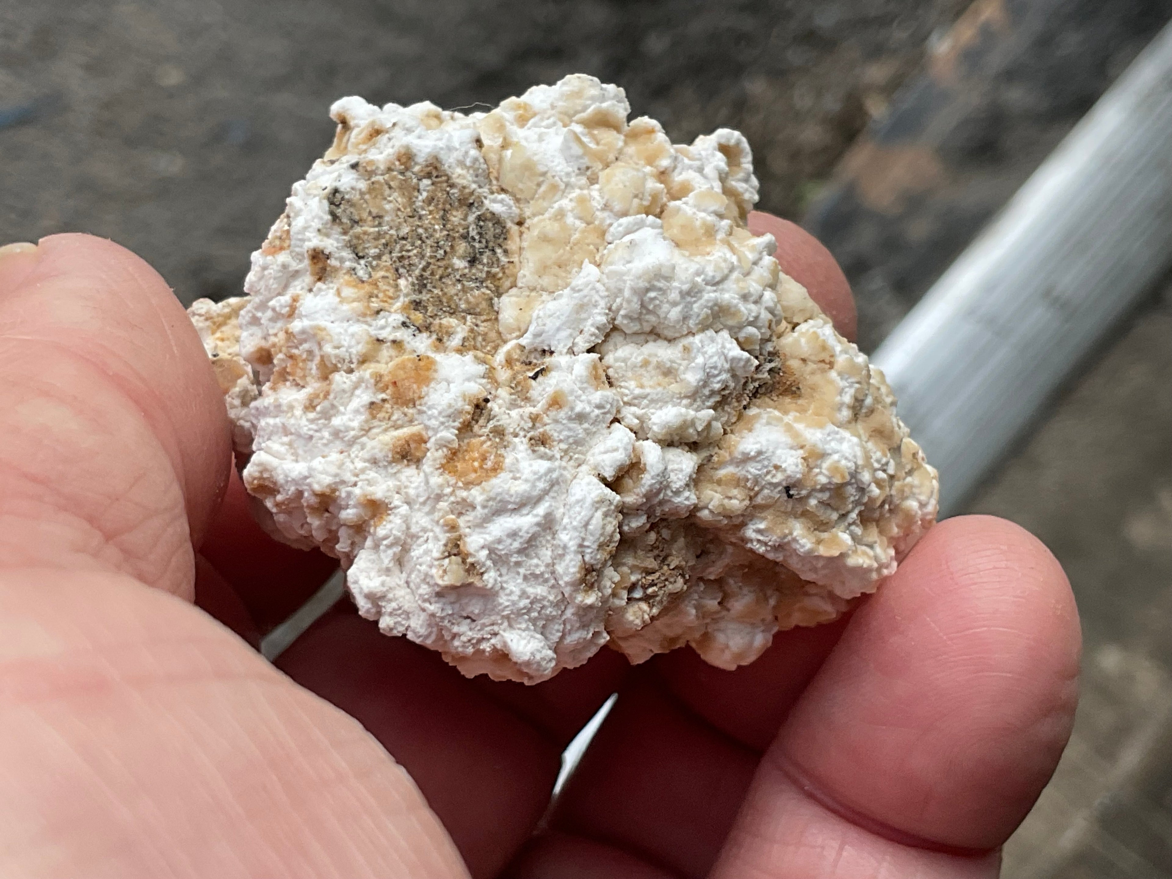 48g “Popcorn Selenite” Specimen 2A