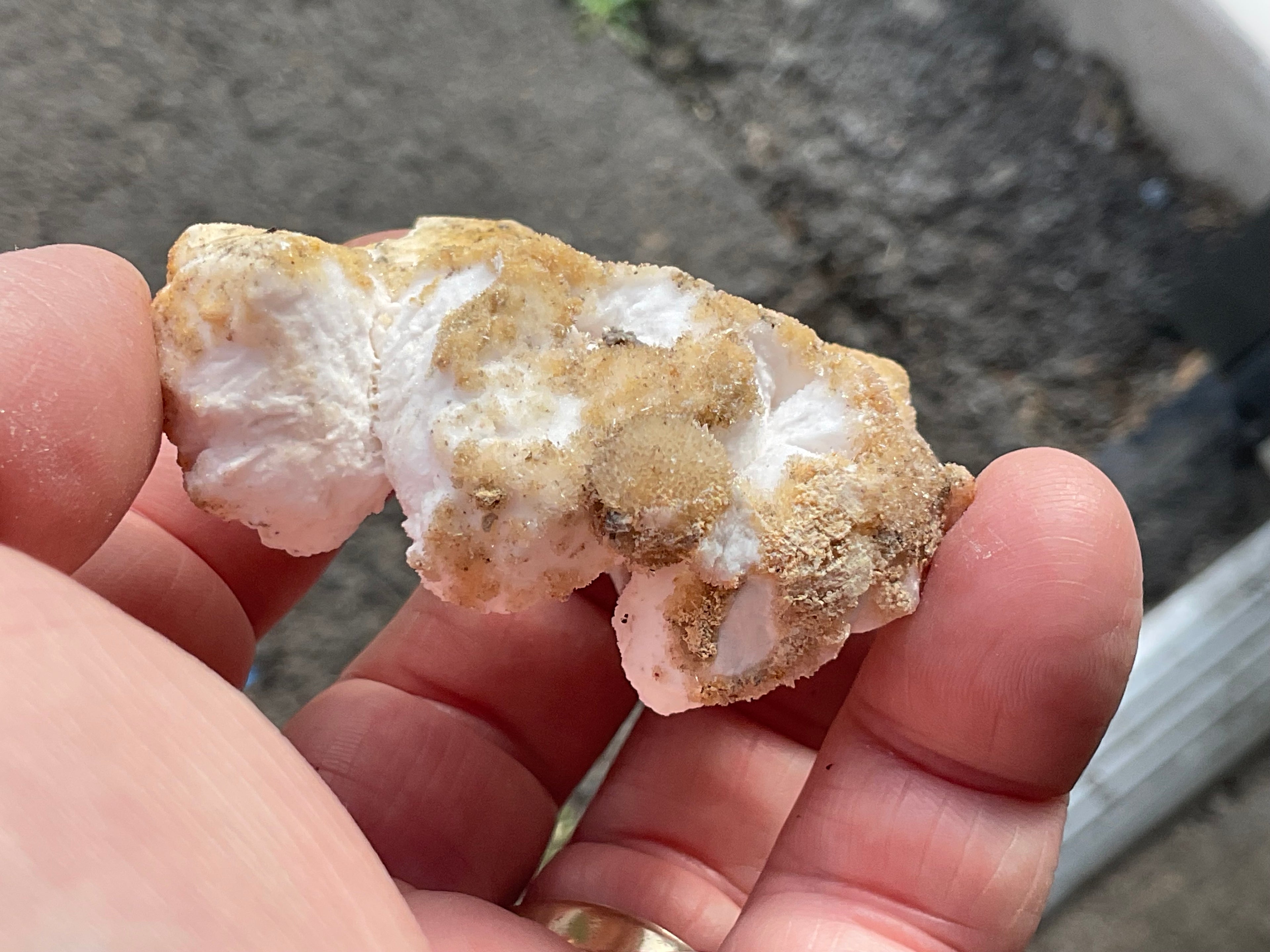 52g “Popcorn Selenite” Specimen 4A