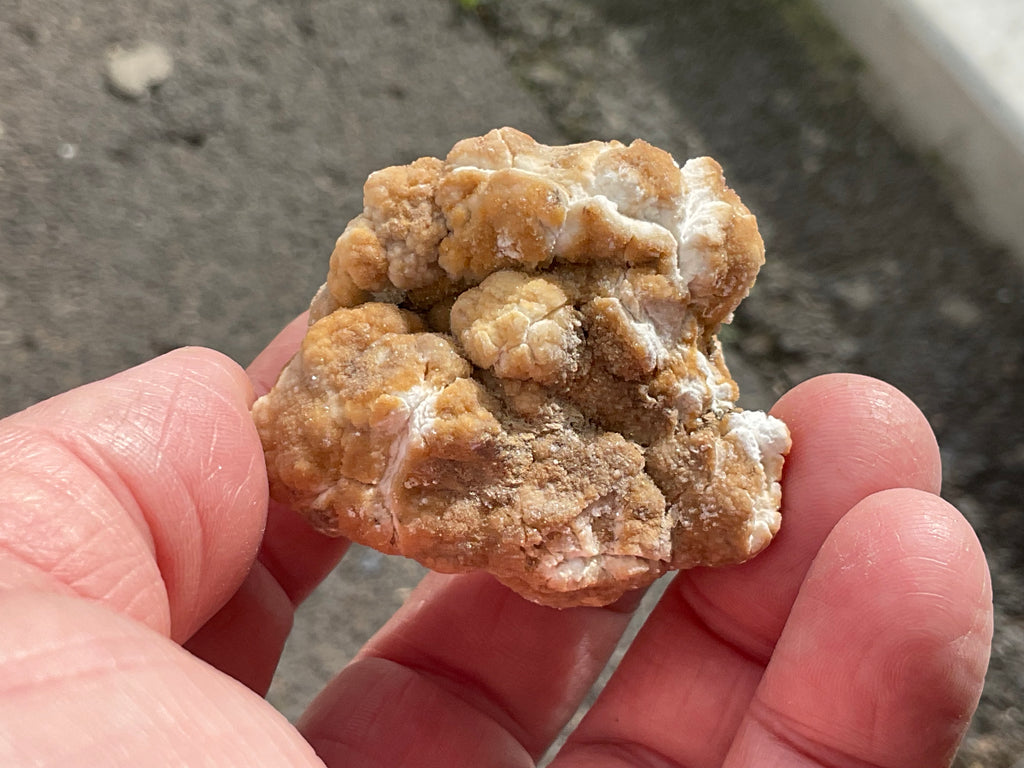 68g “Popcorn Selenite” Specimen 5A