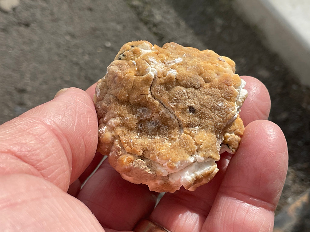 68g “Popcorn Selenite” Specimen 5A