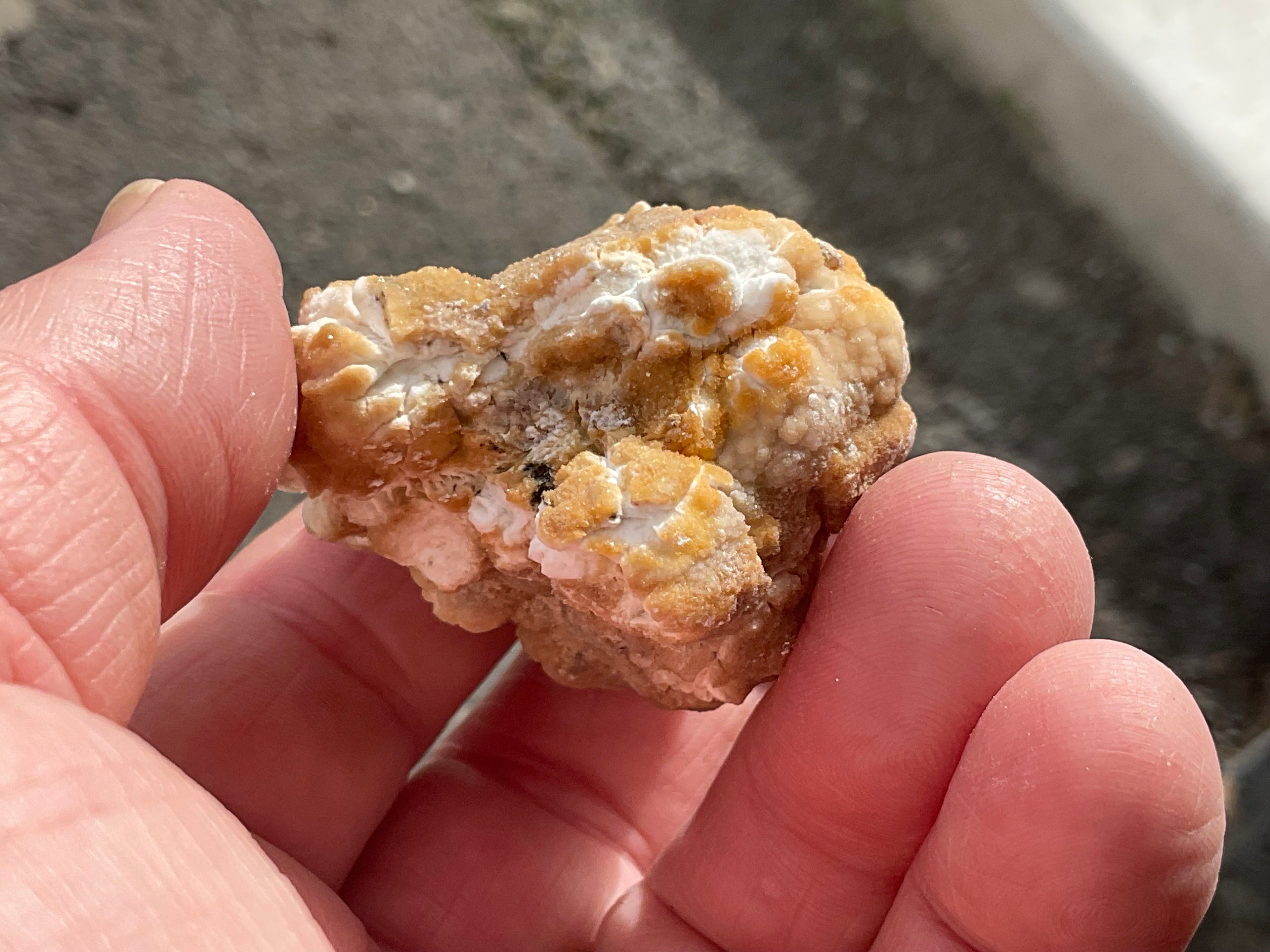 68g “Popcorn Selenite” Specimen 5A