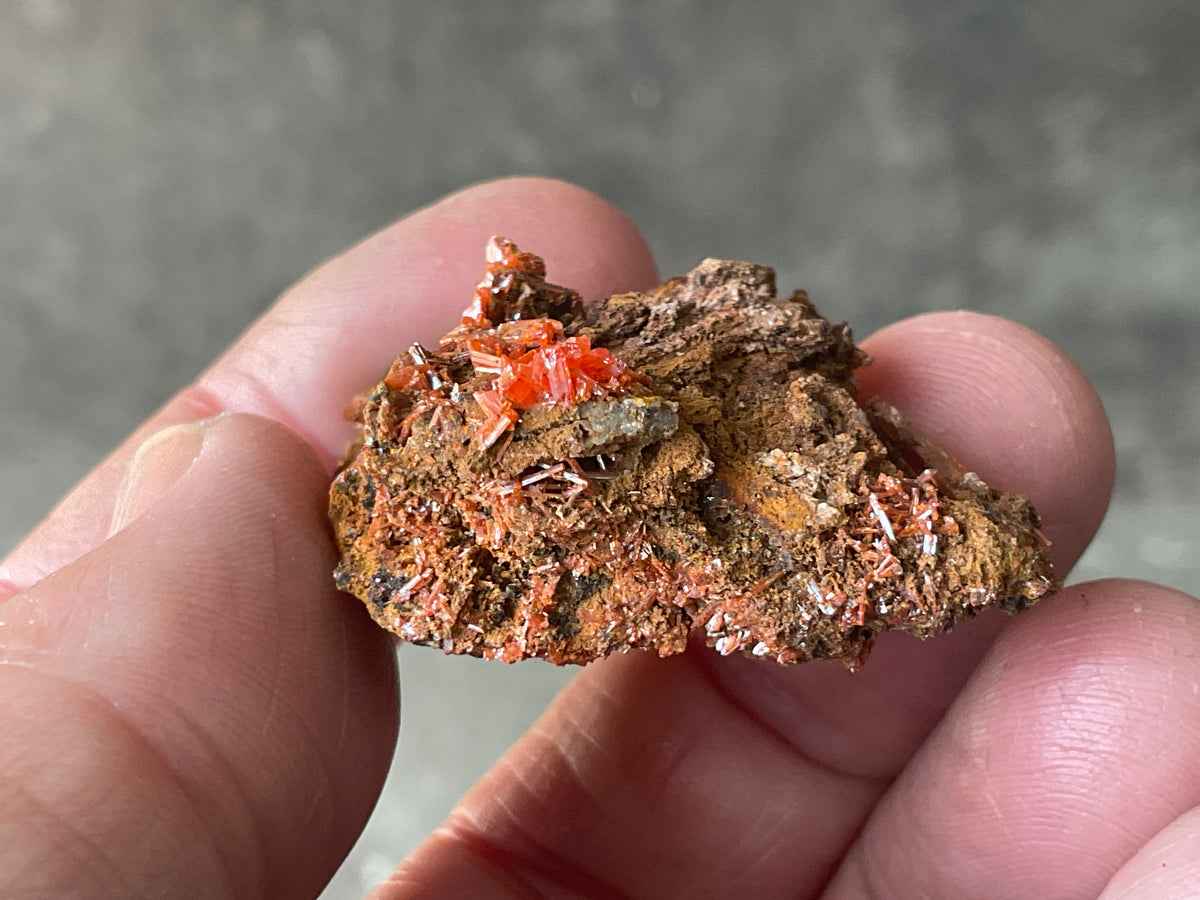 24g Crocoite Specimen 1B