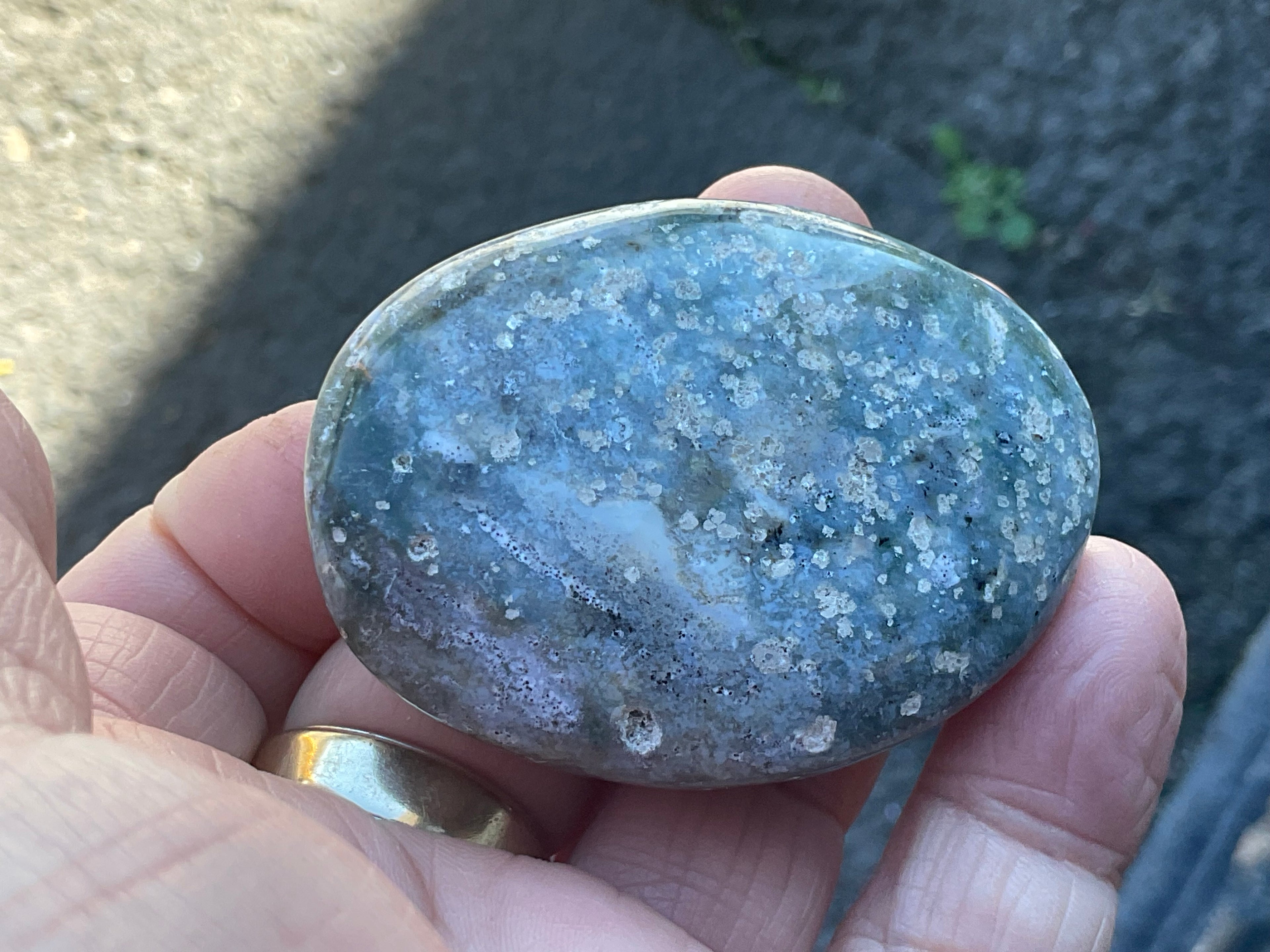 84g Ocean Jasper Palmstone 4A