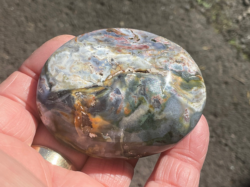108g Ocean Jasper Palmstone 5C