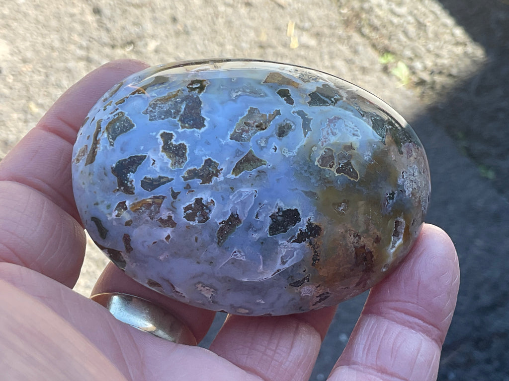 142g Ocean Jasper Palmstone 6C