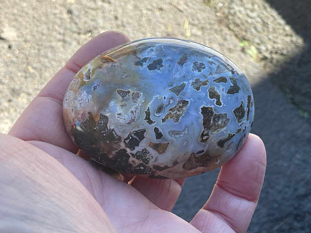142g Ocean Jasper Palmstone 6C