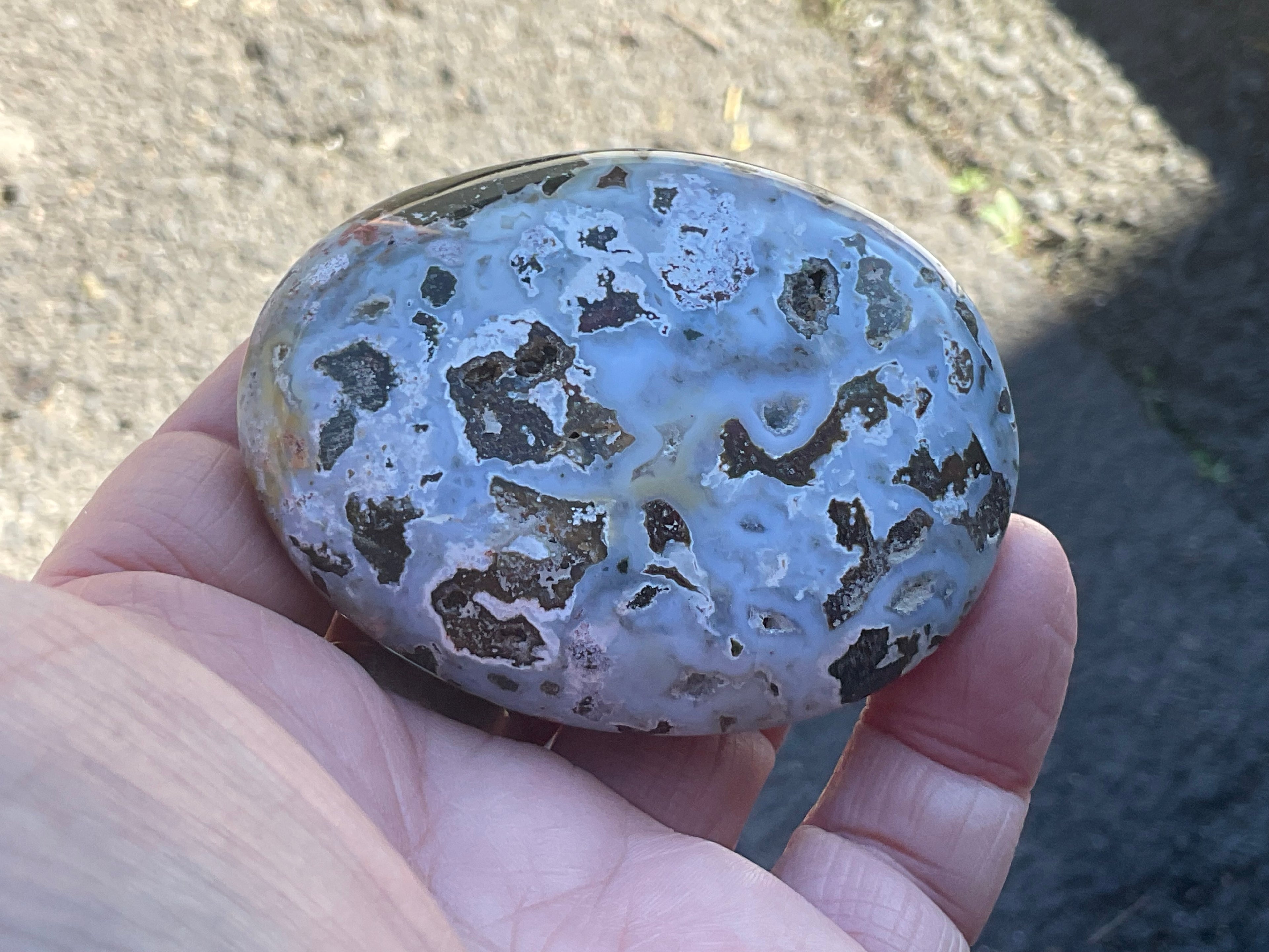 142g Ocean Jasper Palmstone 6C