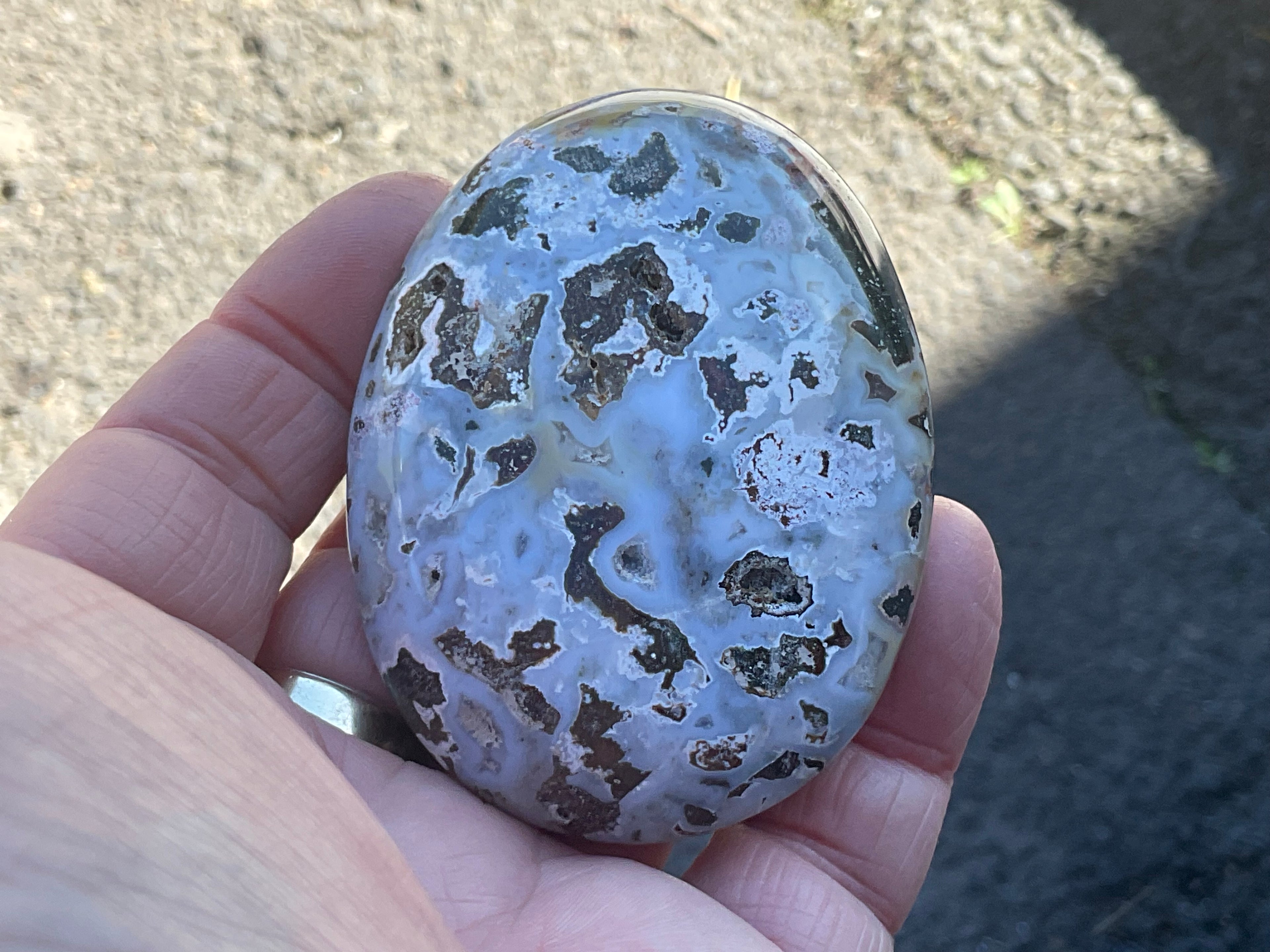 142g Ocean Jasper Palmstone 6C