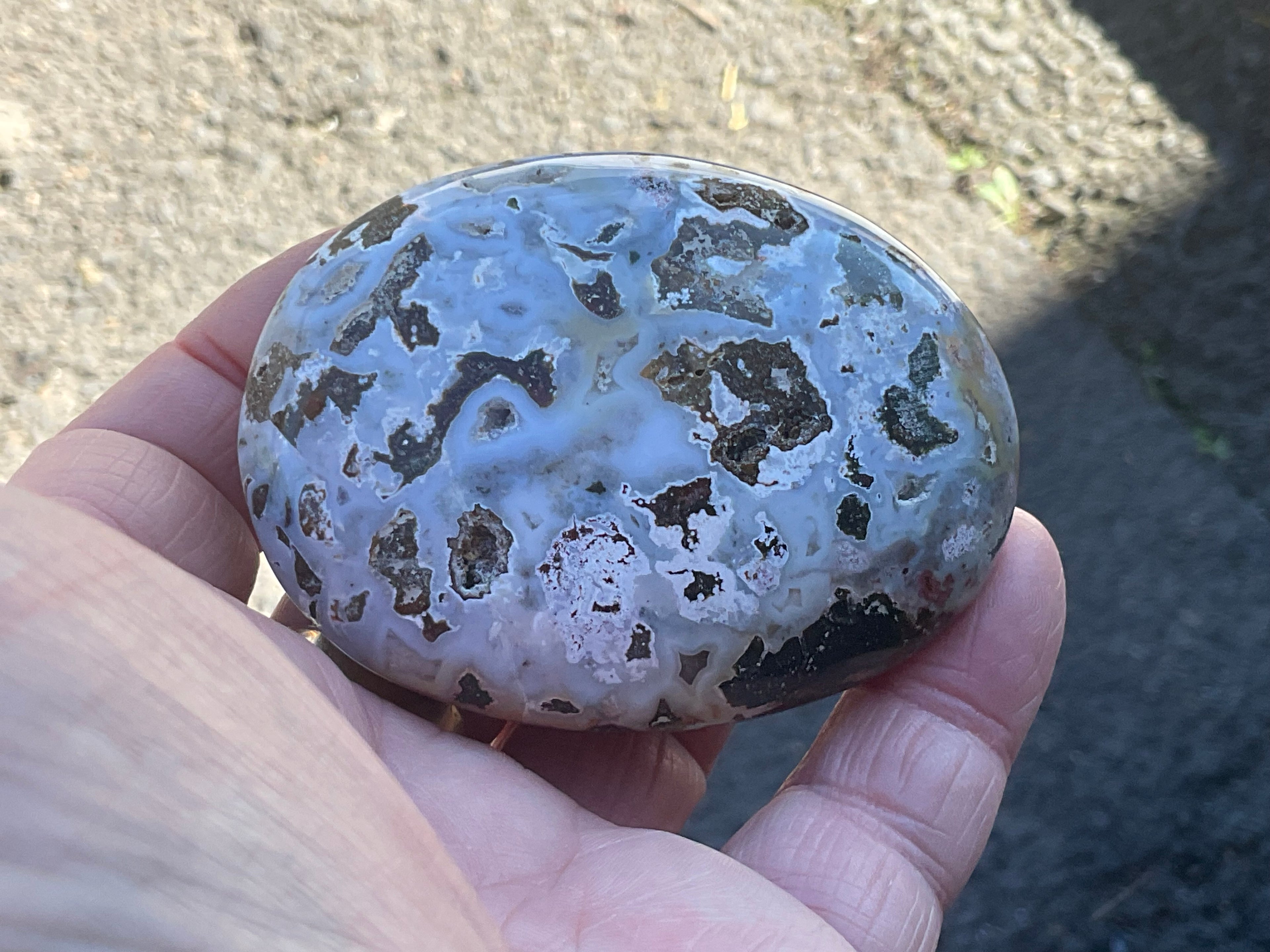 142g Ocean Jasper Palmstone 6C